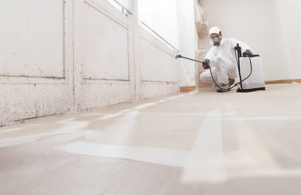 24/7 Emergency Mold Cleanup experts in Fort Myers, FL