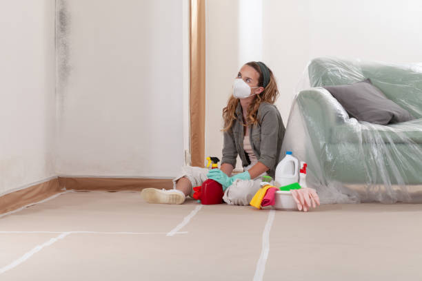 Reliable Mold Cleanup contractor in Fort Myers, FL by WQB Mold Removal